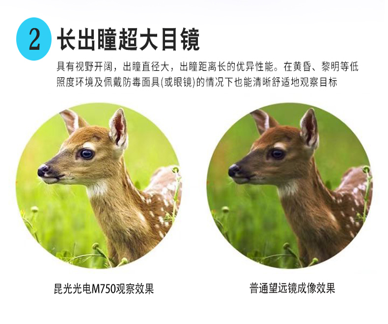 永乐电器官方网站