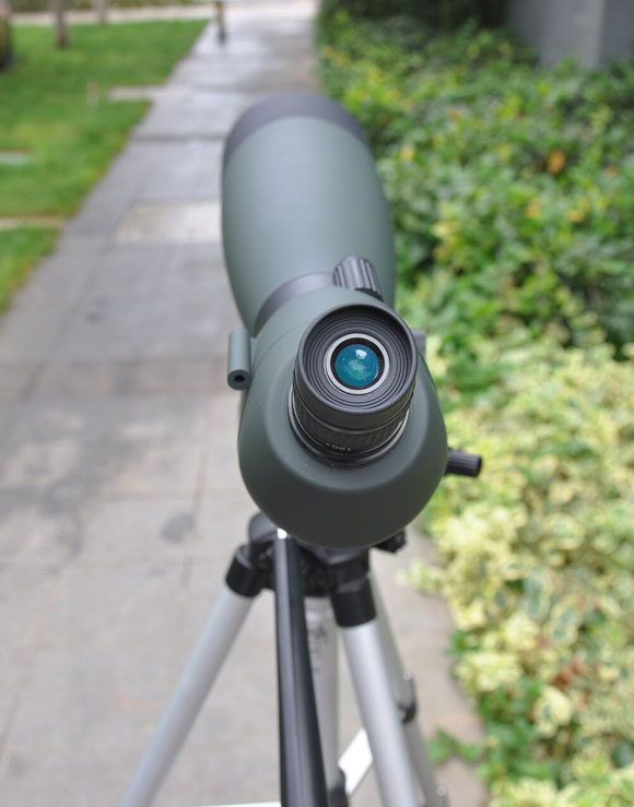 永乐电器官方网站