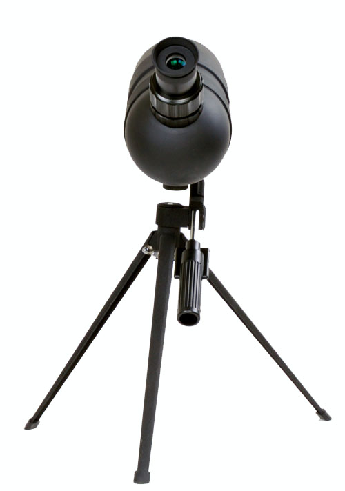 永乐电器官方网站