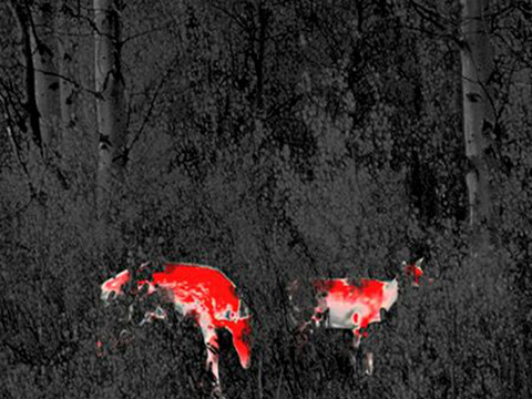 永乐电器官方网站