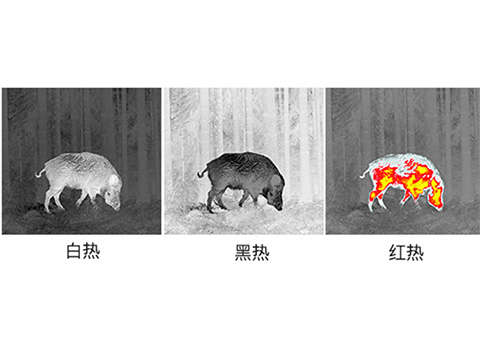 永乐电器官方网站