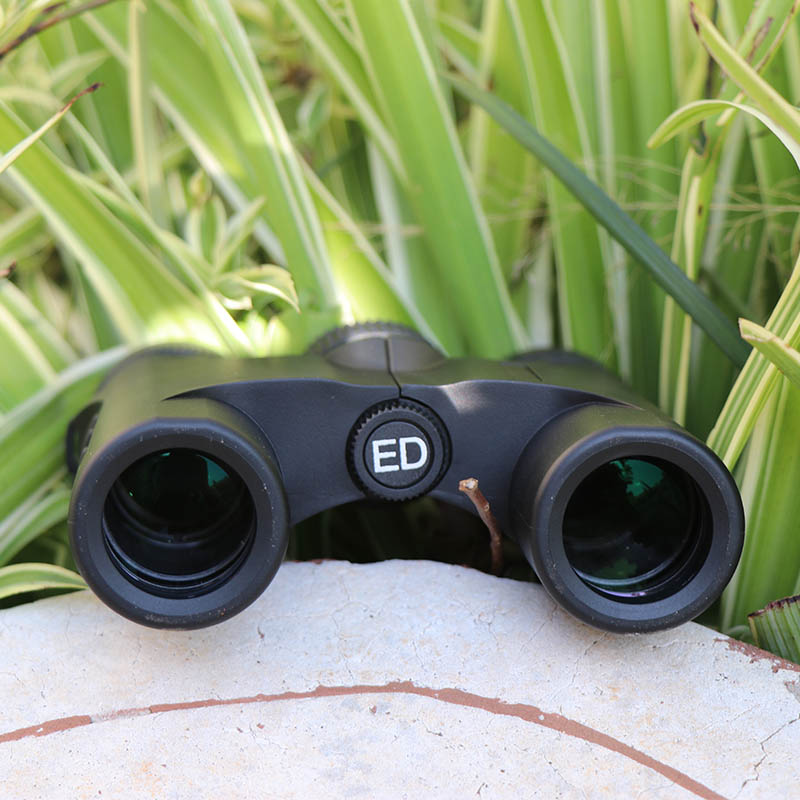 永乐电器官方网站