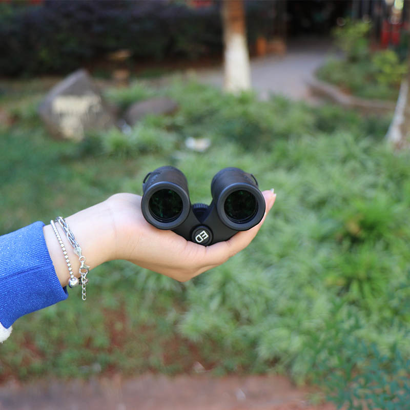 永乐电器官方网站