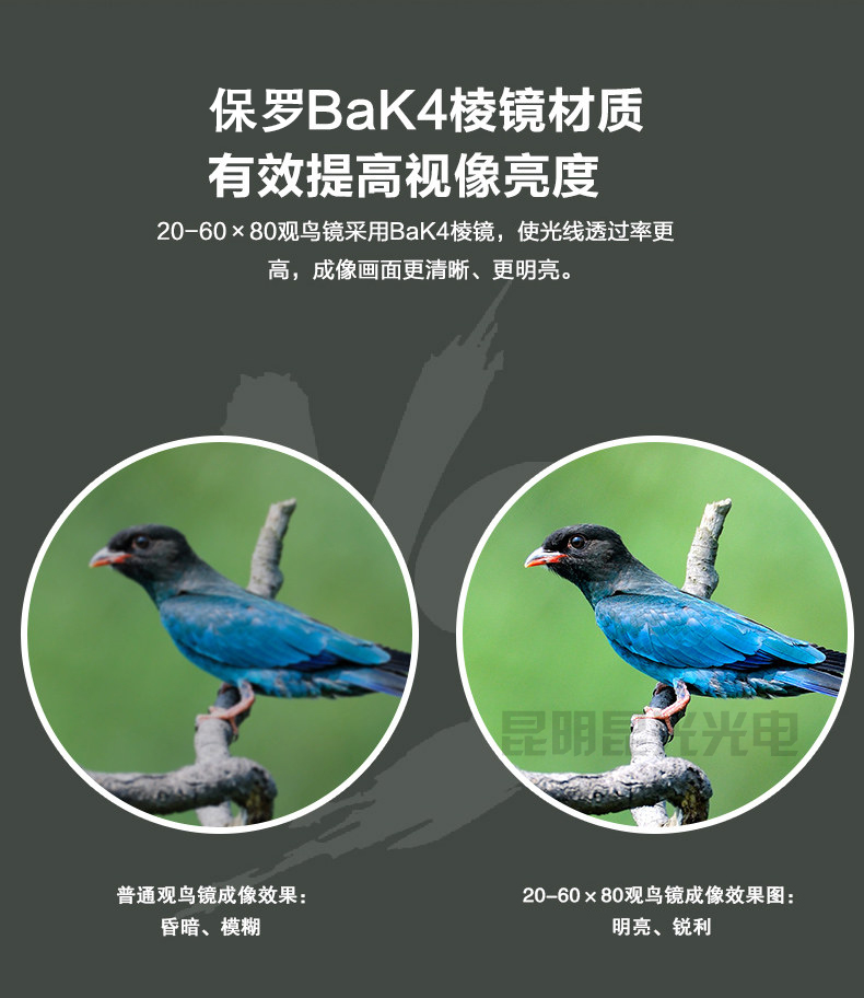 永乐电器官方网站