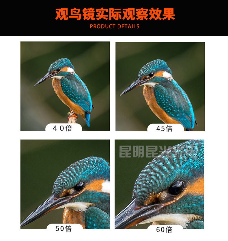 永乐电器官方网站