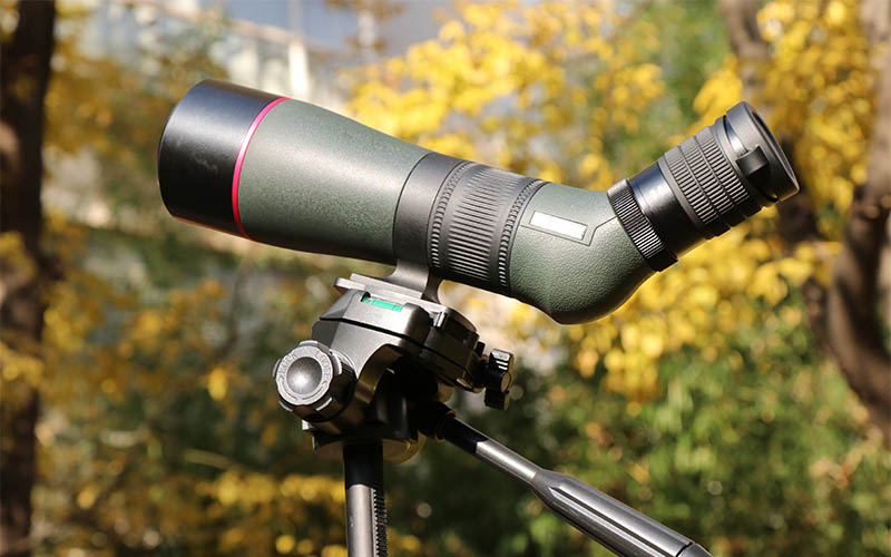 永乐电器官方网站