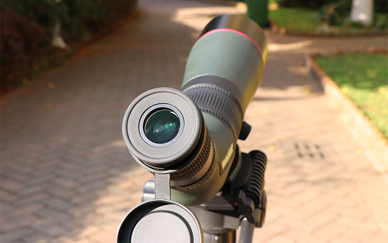 永乐电器官方网站