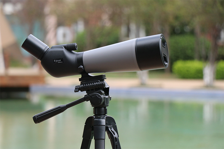 永乐电器官方网站