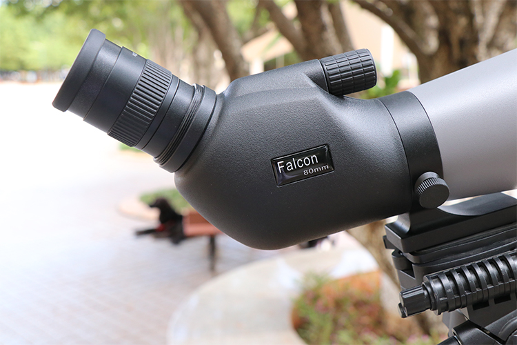 永乐电器官方网站