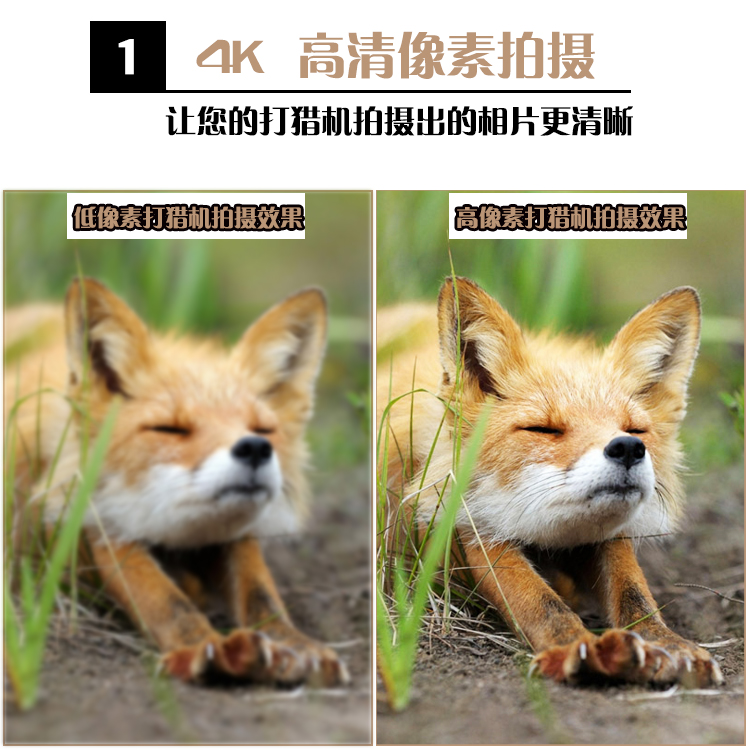 永乐电器官方网站