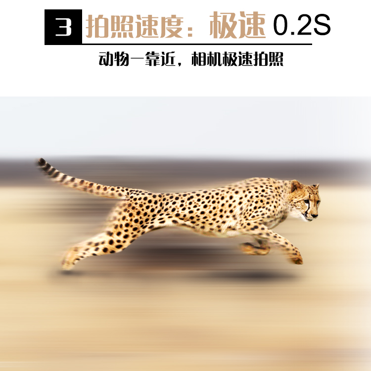 永乐电器官方网站