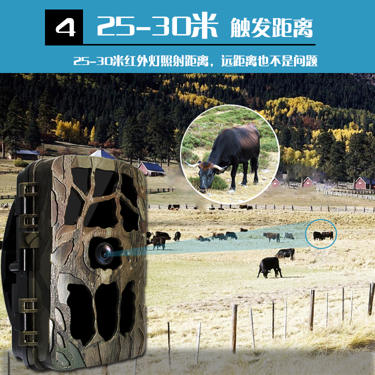 永乐电器官方网站