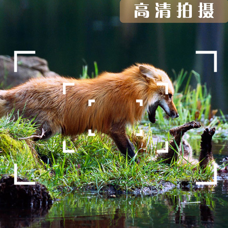 永乐电器官方网站