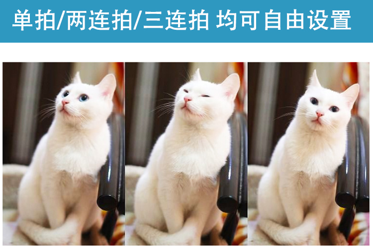 永乐电器官方网站