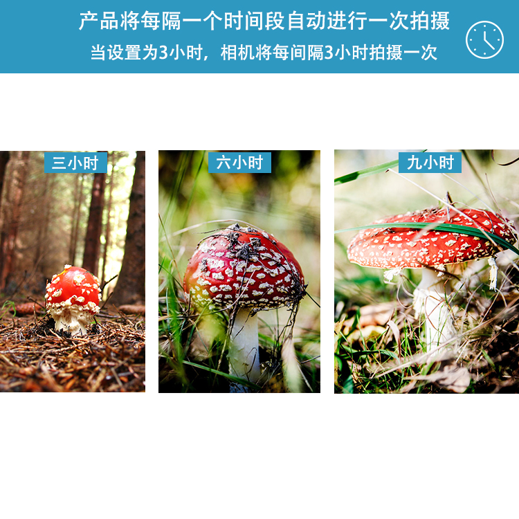 永乐电器官方网站