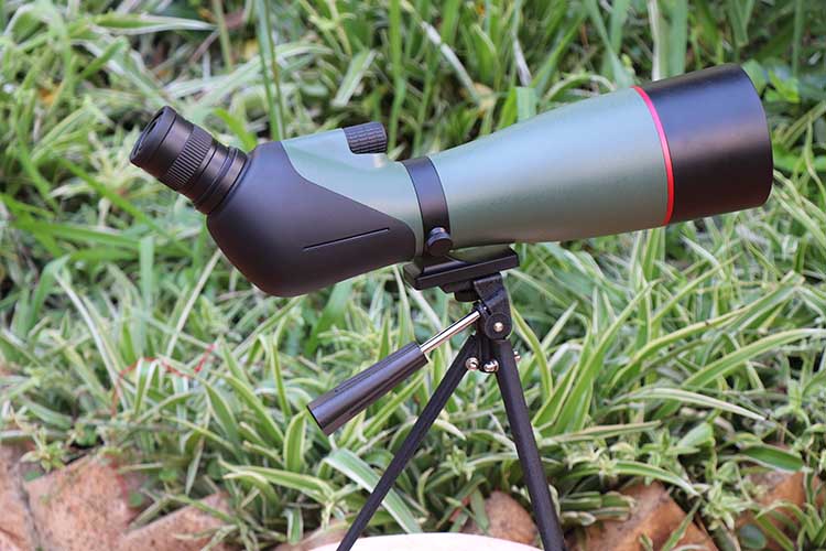 永乐电器官方网站