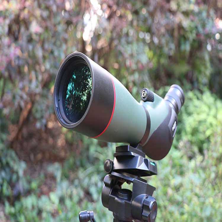 永乐电器官方网站